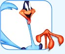 Road Runner