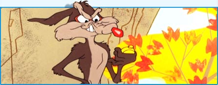Ralph Wolf or Wile E. Coyote?
